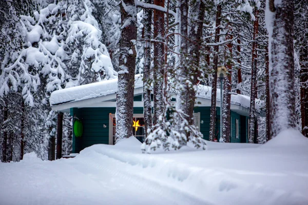 Затишний дерев'яний котедж в темному зимовому лісі — стокове фото