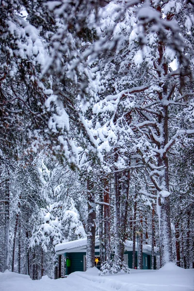 Acogedora casa de madera en el bosque oscuro de invierno —  Fotos de Stock