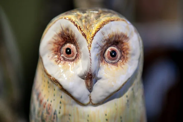 Owl doll made of glass