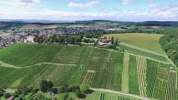 Drone beelden. Kleine Duitse stad aan wijngaarden — Stockvideo