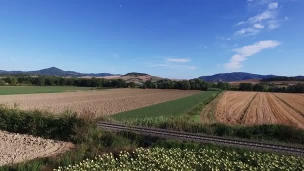Drohnenaufnahmen aus der Luft - Überfliegen von Feldern in Italien — Stockvideo