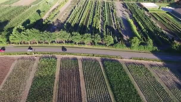 Letecký pohled. Auta jedoucí na venkovské silnici — Stock video