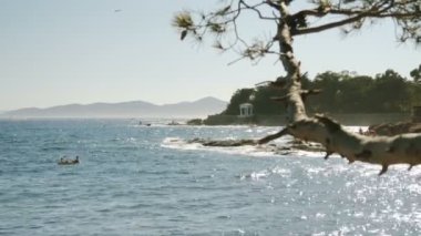 Deniz manzara parlak yaz gününde - 4k taşlarla