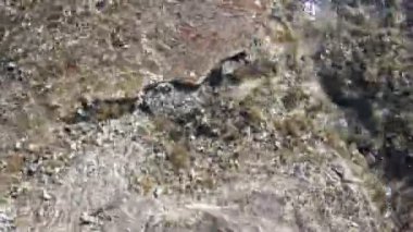 Sualtı bitkiler üzerine taşlı kumsalda - 4 k inişli çıkışlı dalgalar