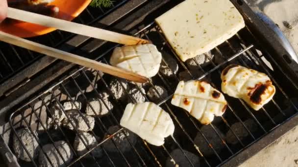 Barbecue - saucisses grillées, tofu et fromage - vue sur le dessus - 4k — Video