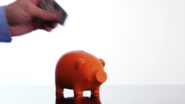 Male hand putting a dollar bill in a piggy bank — Stock Video