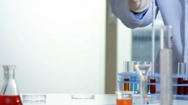 Laboratuvar çalışan birkaç damla kırmızı bir kimyasal bir pipet bir petri ekler