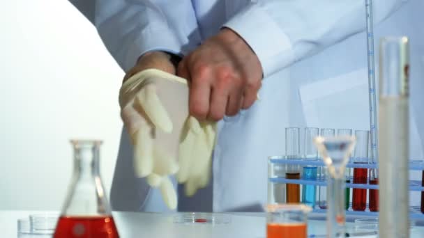 Technicien de laboratoire met des gants en caoutchouc — Video