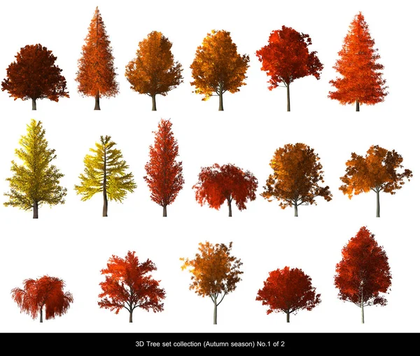 Árbol de otoño modelo de planta CG para el diseño de arquitectura . —  Fotos de Stock