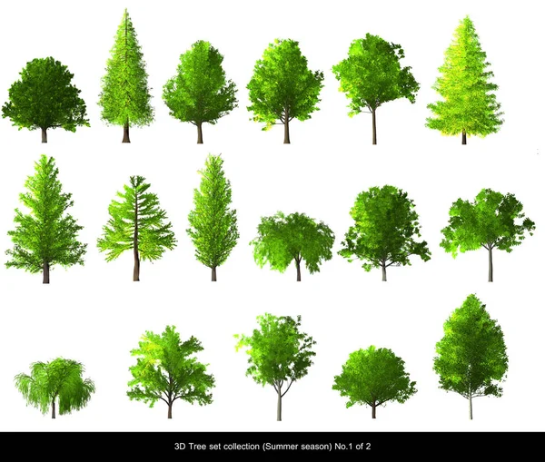 Pohon Hijau musim panas Pohon 3D terisolasi pada putih . — Stok Foto