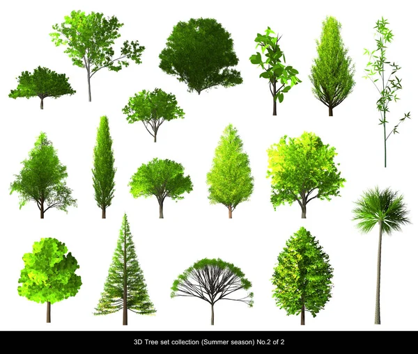 Grüne Blatt Baum Sommersaison für Architektur Landschaftsgestaltung eingestellt — Stockfoto