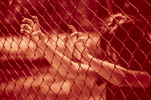 Adolescente ocultar la jaula o mujer encarcelado, infeliz chica mano triste desesperado en valla prisión en la cárcel —  Fotos de Stock