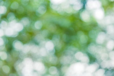 Yeşil Doğa bokeh Park için arka plan açık bulanıklık.