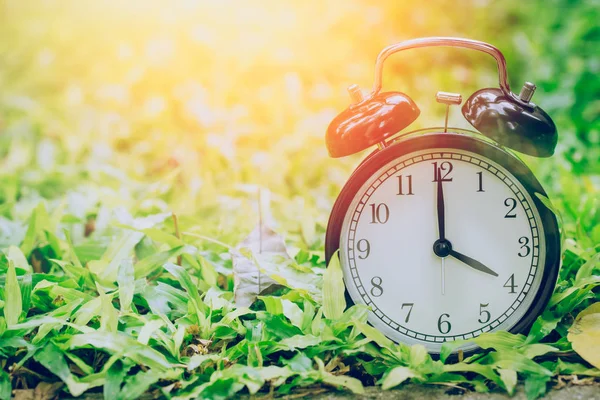 4: 00 reloj retro en el campo de césped jardín con luz solar . —  Fotos de Stock