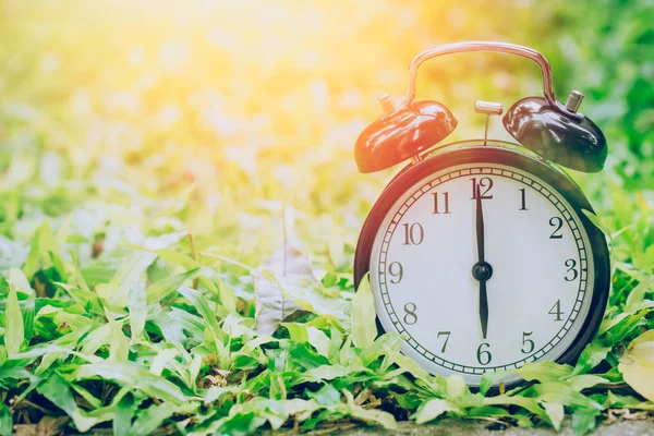 Reloj retro de las 6 en punto en el campo de hierba jardín con luz solar . — Foto de Stock