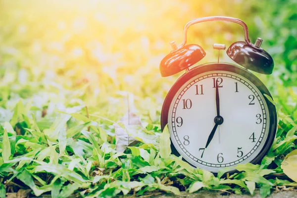 7 o'clock retro clock in the garden grass field with sun light. — Stock Photo, Image