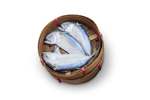 Thai Mackerel Fish isolated on white with clipping path — Stock Photo, Image