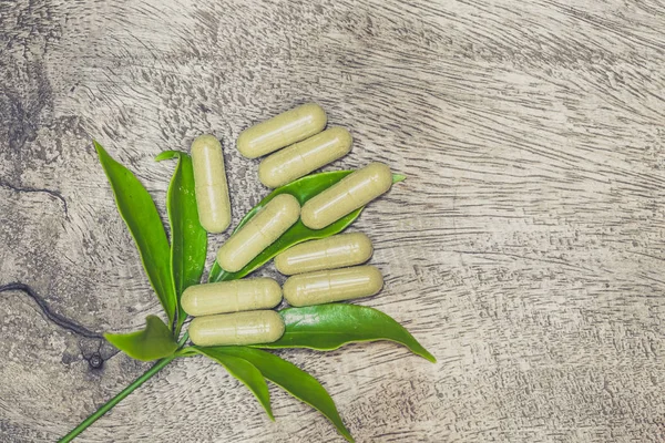 Schefflera leucantha yeşil bitkisel toz kapsül, güvenli tıp kavramı.