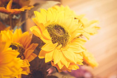 Ayçiçeği vintage tarzı.