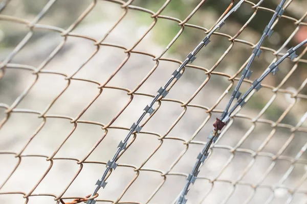 Valla de púas con alambre barbwire — Foto de Stock