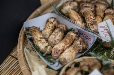 Matsutake mantar Satılık piyasada: Kyoto, Japan.