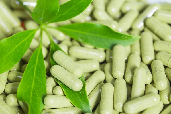 Schefflera leucantha green herbal powder in the capsule, safe medicine concept. — Stock Photo, Image