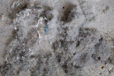 vacumm temiz, tehlike ve office adam solunum hastalıklarının nedeni ev ya da ofis topraktan yukarı kapatın.