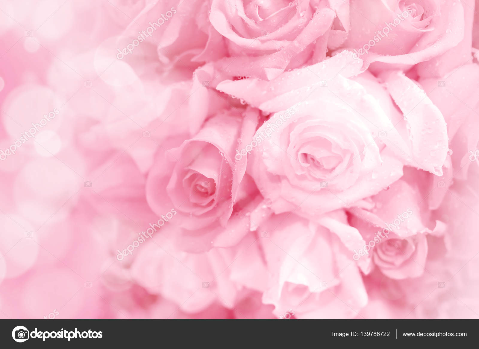 Pink rose on a soft light blur background. Stock Photo by ©coffeekai  139786722