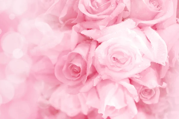 Roze roos op een zachte vervaging van de lichte achtergrond. — Stockfoto