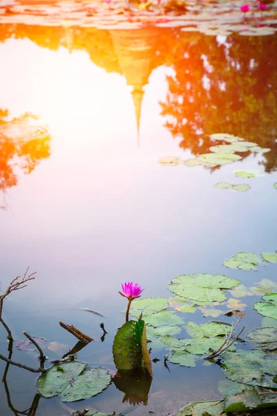 Alte Pagode spiegelt sich in Lotussumpf, alter Tempel in Sukhothai Reiseziel in Thailand. — Stockfoto