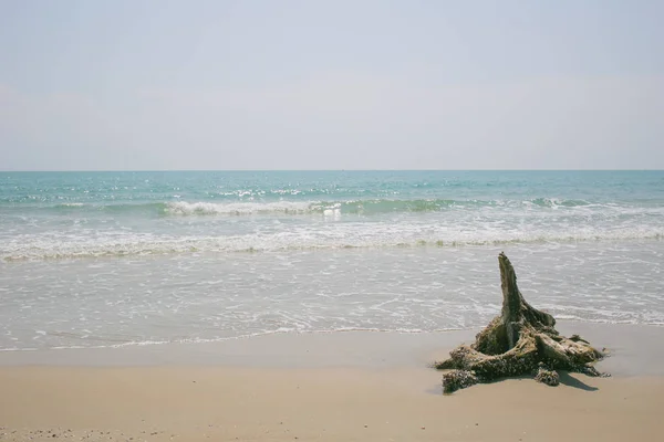 Playa con madera vieja, playa solitaria del mar del silencio, playa, sola orilla del mar . — Foto de Stock