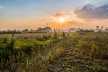 günbatımı kırsal Doğa Çim açık ile