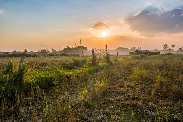 Pôr do sol no campo com grama da natureza ao ar livre — Fotografia de Stock