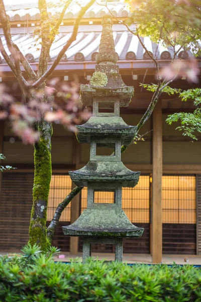 일본 돌 손전등으로 자연 공원입니다. 가 시즌에 화려한 레드 메이플 일본 정원. — 스톡 사진
