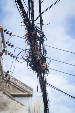 Elektrik ve telefon labirent kablo Tayland'da kuş yuva