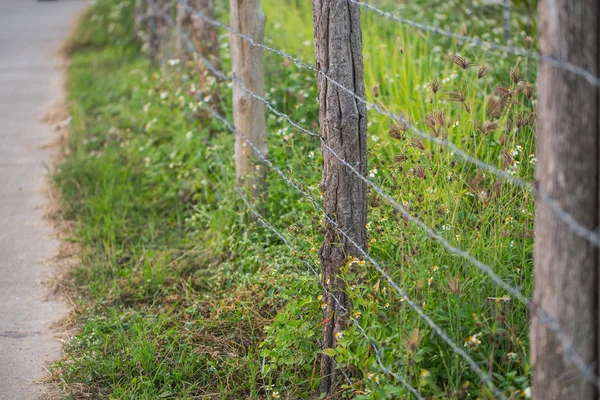 Kırsal çiftlik ahşap çit — Stok fotoğraf