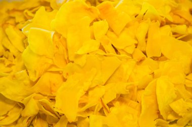 Vakum Freeze kurutulmuş Durian meyve 