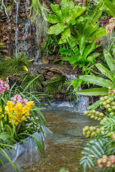 home garden backyard water fall green nature zone decoration