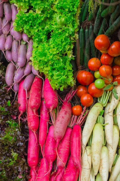 Varios vegetales coloridos saludables — Foto de Stock