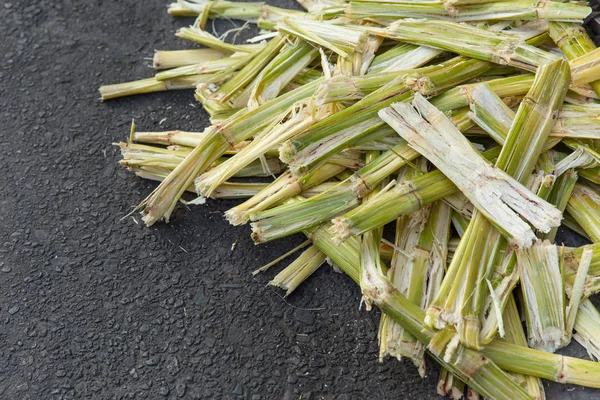 Suikerriet bagasse vezel recyclen voor biobrandstof. — Stockfoto