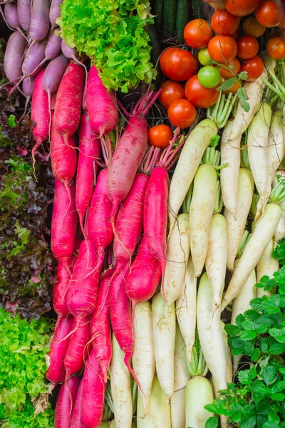 Varias lechuga vegetal colorido saludable y remolacha para el fondo — Foto de Stock