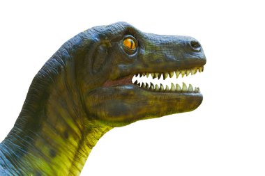Closeup dinozor kafası üzerinde beyaz izole.