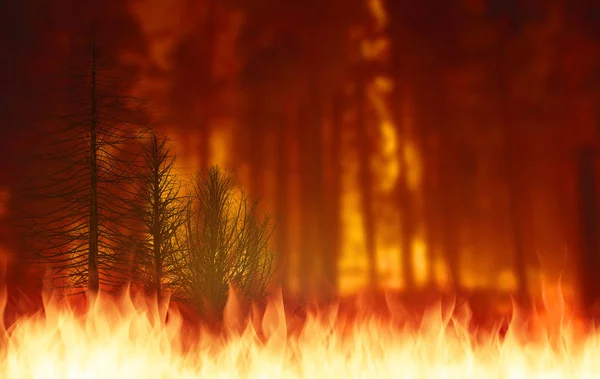 Futótűz vagy az erdő tűz grafikai illusztráció a billboard. — Stock Fotó