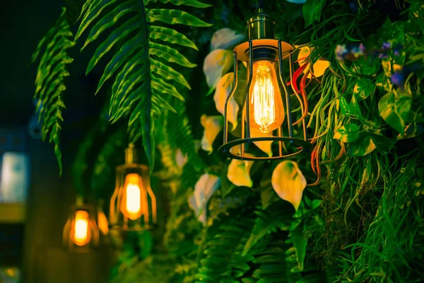 Jungle lamp in the forest green plant background interior cafe decoration. — Stock Photo, Image