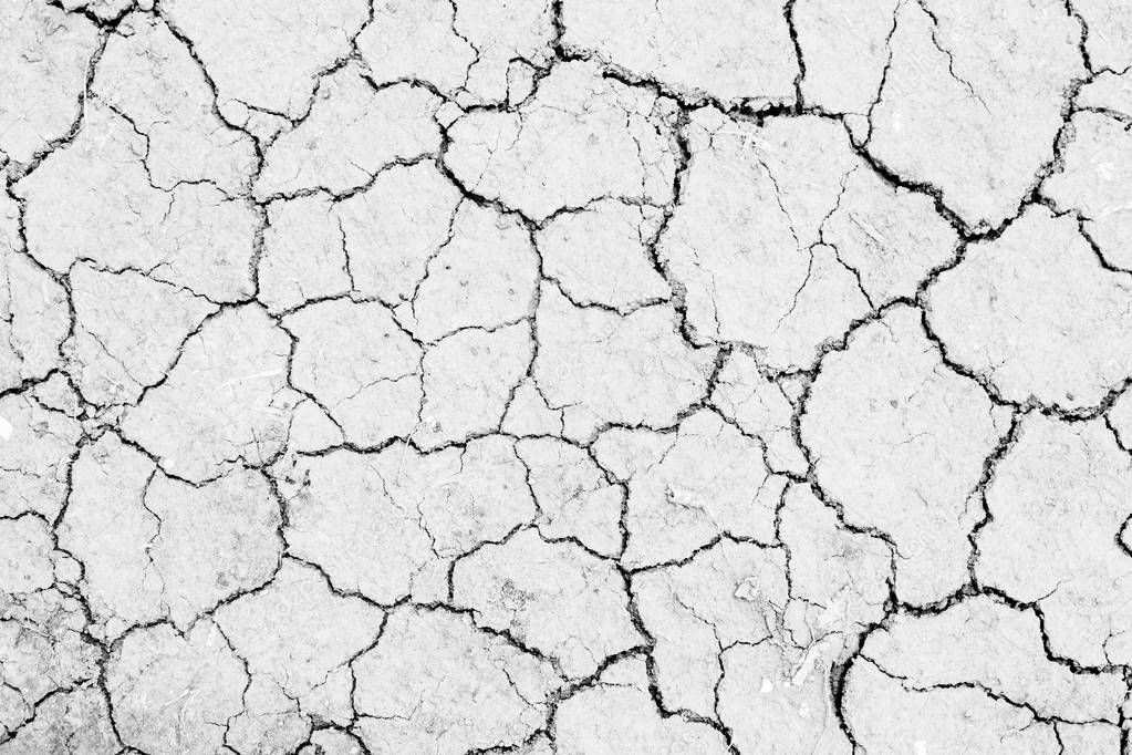 white dried land crack texture
