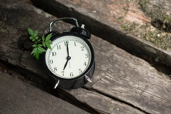 old clock retro style show 7 o\'clock on wood in the forest background.