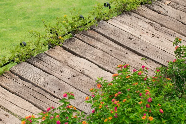 Camino de madera pie en la decoración del jardín parque público verde hierba naturaleza fondo . —  Fotos de Stock