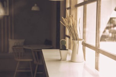 Japonya stili Cafe counter yan cam pencere iç doğa dekorasyon kurutulmuş bitki ve kaktüs sıcak sesi ile bar.