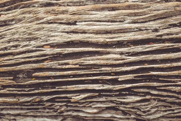 Old wood tree texture pattern background vintage color tone. — Stock Photo, Image