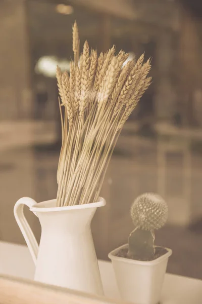 Japón estilo café bar lado vidrio ventana decoración de la naturaleza interior con planta seca y cactus tono cálido . — Foto de Stock